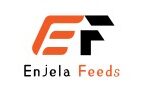 enjela feeds entertainment news logo