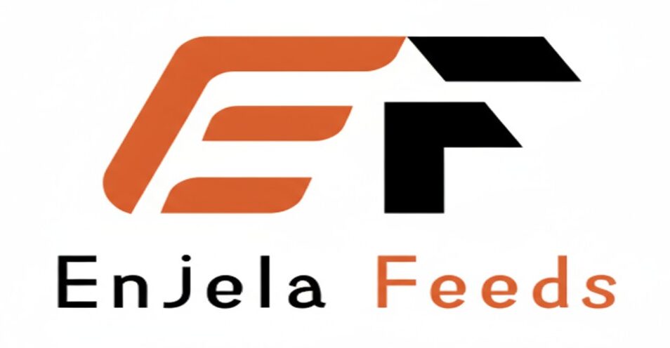 enjela feeds entertainment news logo