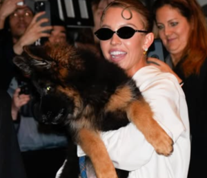 Sydney Sweeney Height